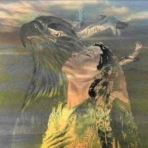 Meet your Posher, Lilyerose